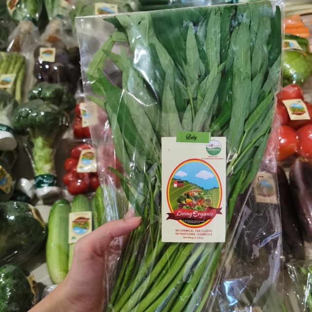 

Kangkung Sayuran Organik 200 gr