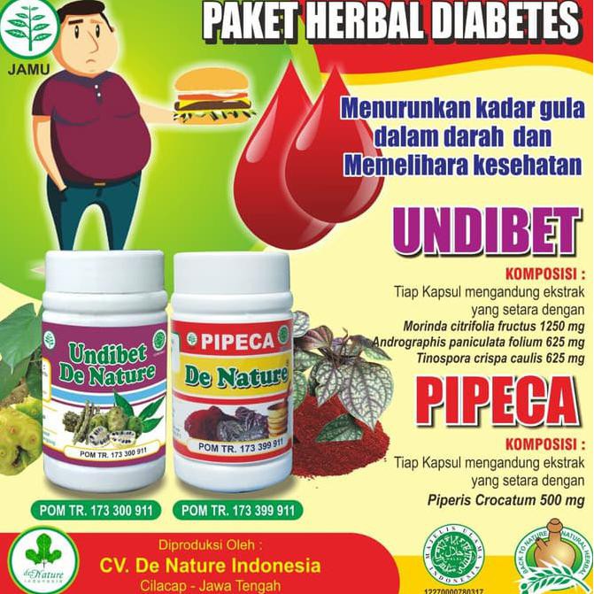 

Obat Diabetes / Kencing Manis Herbal De Nature TERBAIK