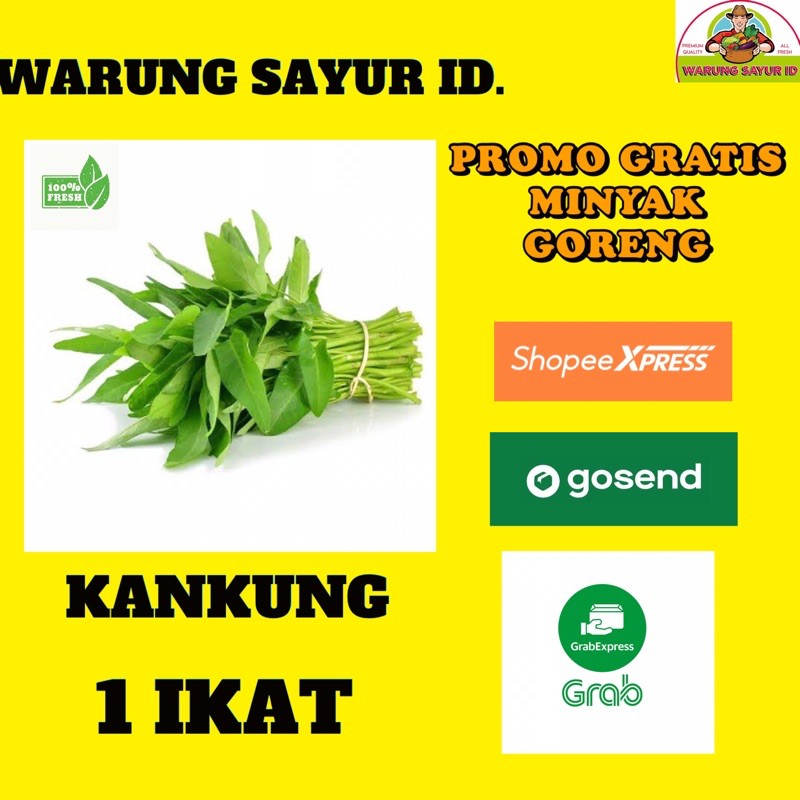 

KANKUNG TAMPA AKAR 1 IKAT BESAR