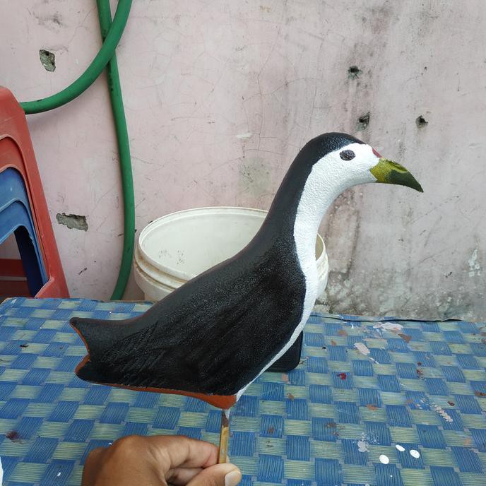 530+ Sketsa Gambar Burung Ruak Ruak HD Terbaik