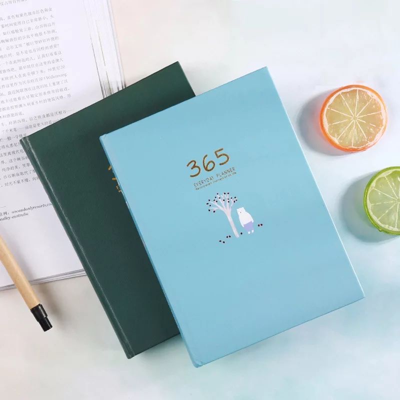 DIARY BOOK BINDER BUKU DIARI AGENDA 365 HARI HARD COVER NOTEBOOK NOTES BIRU LANGIT SKY BLUE