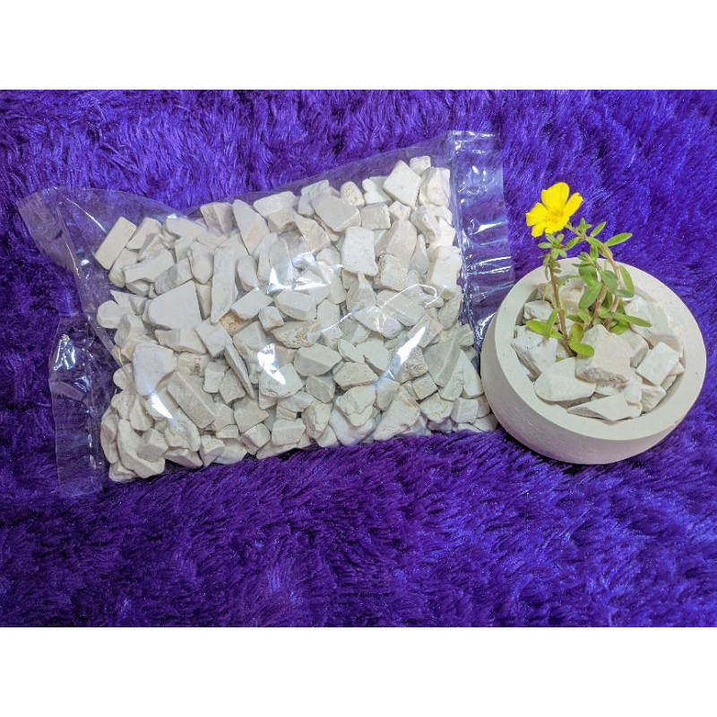 batu coral, batu hias, batu tanaman, batu tanaman hias
