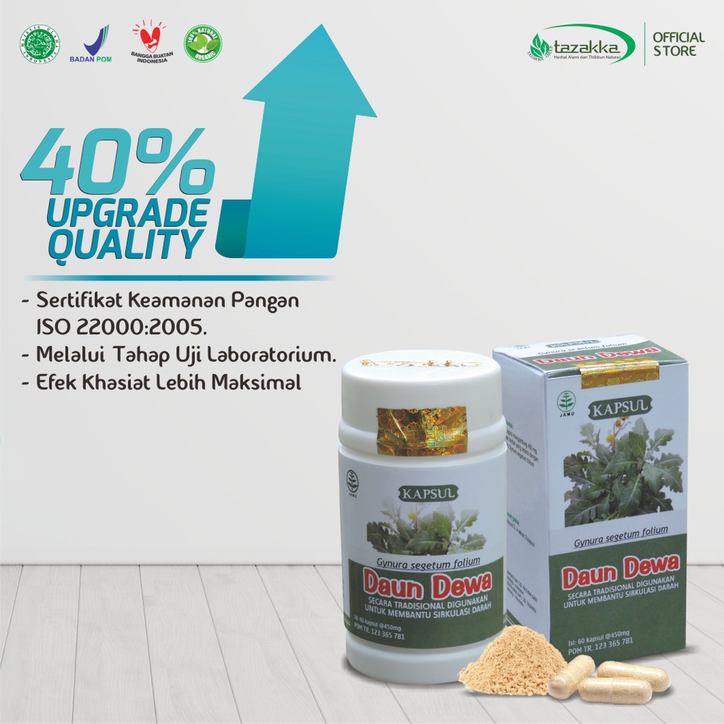 KAPSUL DAUN DEWA KUALITAS EKSTRAK ORIGINAL | Memeperlancar Peredaran DARAH Secara Alami