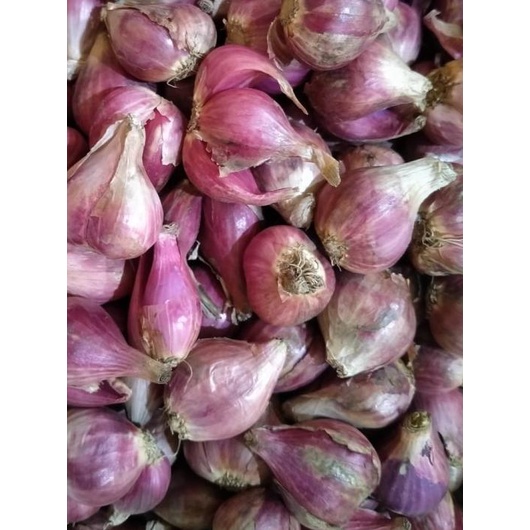 

❋ Bawang Merah Besar 1kg ☎