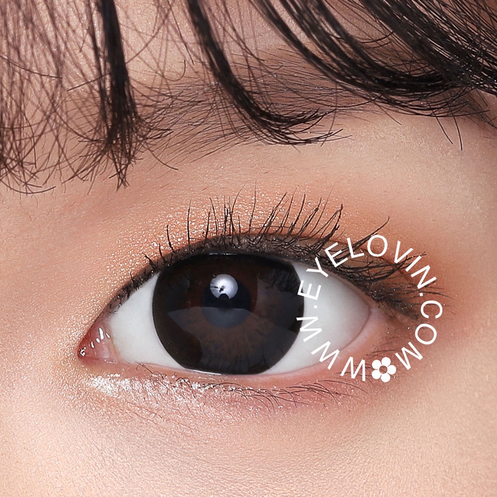 EYELOVIN Softlens Holicat - City Black