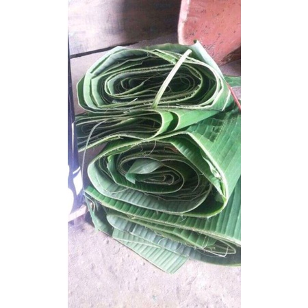 

Daun Pisang Kepok paket 500 gram
