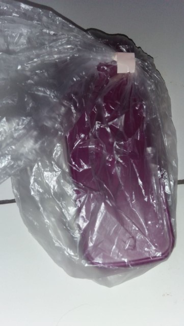 Portable Chopstick (1)