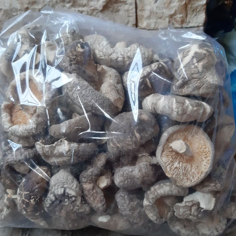 JAMUR SHITAKE / JAMUR PAYUNG / DRY SHITAKE 1 kg