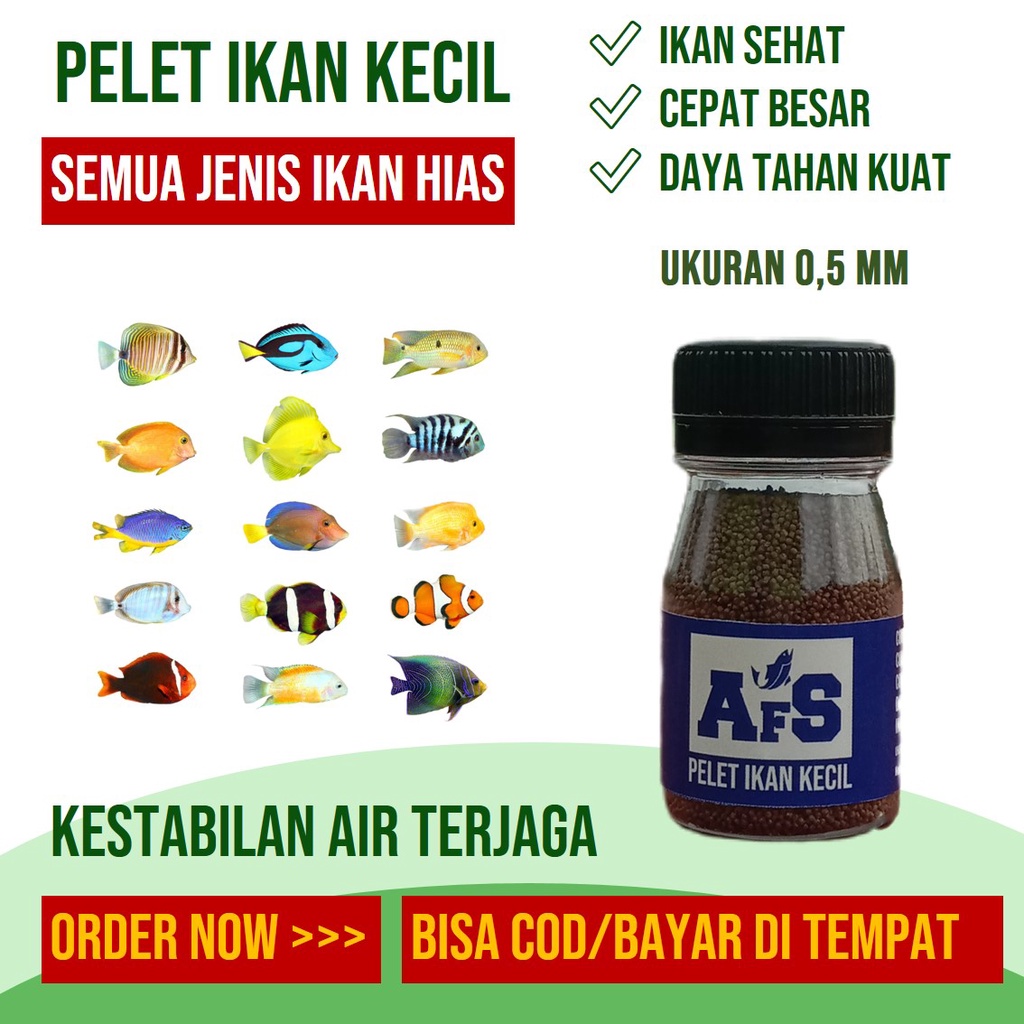 Jual Pelet Pakan Cupang Guppy Chana Koki Molly Manfish Dan Semua Jenis