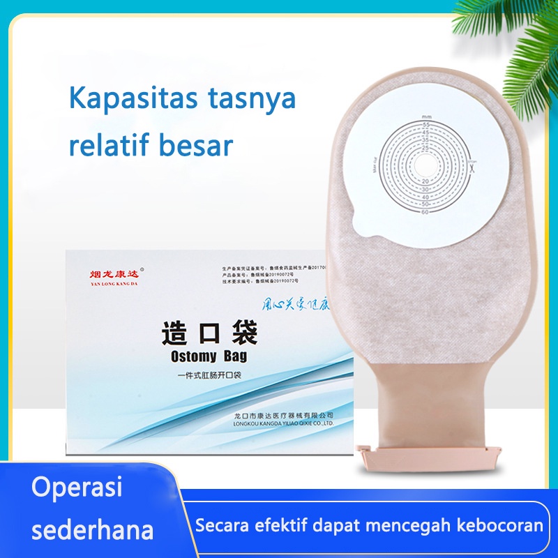 10Pcs Satu Potong Sistem Diaktifkan Filter Karbon Kantung Kolostomi Penghilang Bau Knalpot Stoma Kantong Colostomy Ostomy Tas Cut UKURAN 20Mm-65Mm Beige Cover