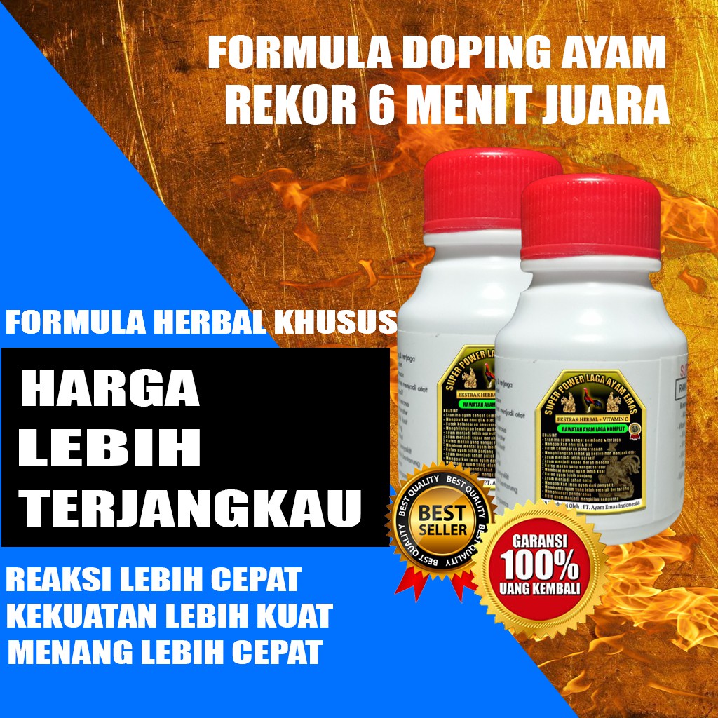 

Jamu Ayam Aduan Herbal, Jamu Ayam Aduan Paling Ampuh, Jamu Ayam Aduan Tradisional Ayam Emas