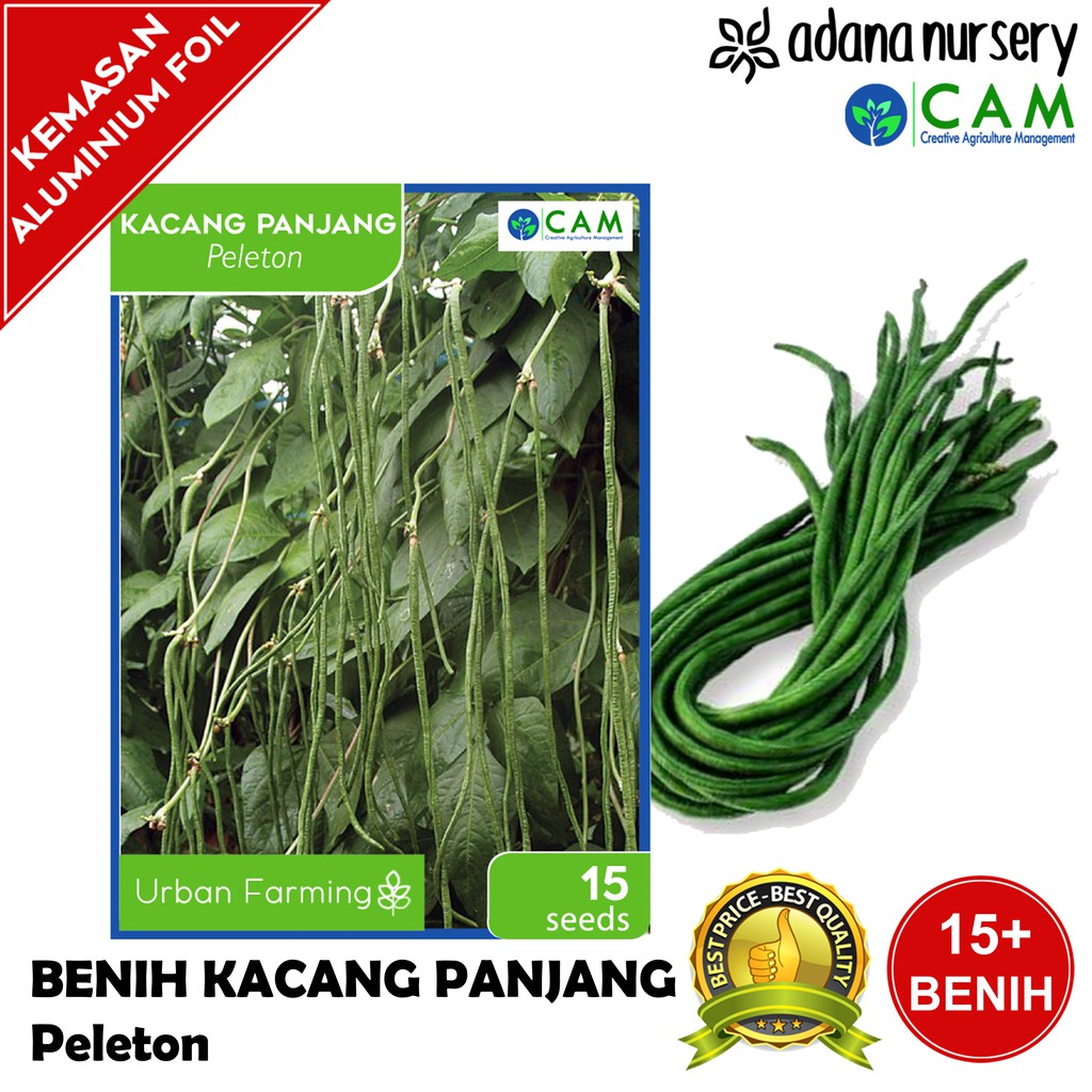 Benih / Biji Kacang Panjang - Peleton - Berkualitas - Repack 15 Seeds