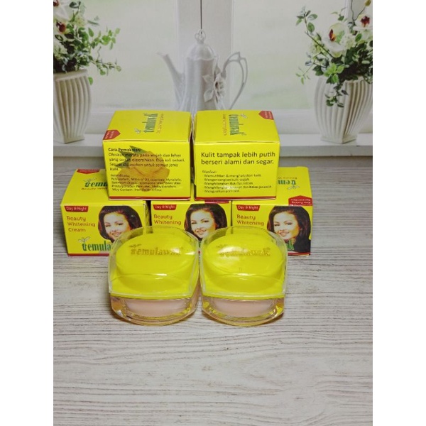 Lusinan Cream Temulawak Beauty Original Siang&amp;Malam(lusin)