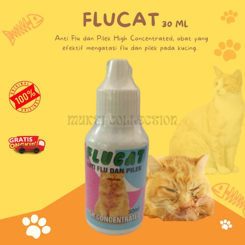 Jual Obat Flu Kucing Tetes Flucat Ml Obat Anti Flu Pilek Kucing