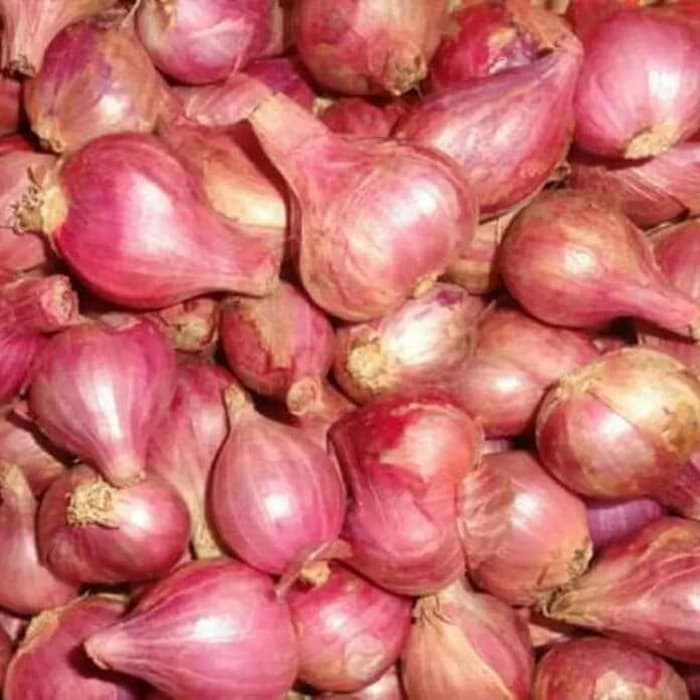 

bawang merah pilihan