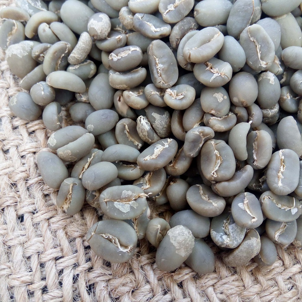 

Kopi Organik Green Beans Kopi Organik Arabika Toraja