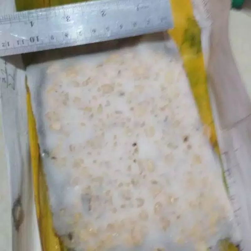 

Tempe Mendoan khas Pliken