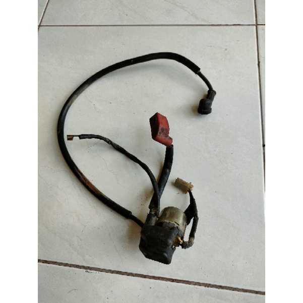 bendik stater tiger/mp