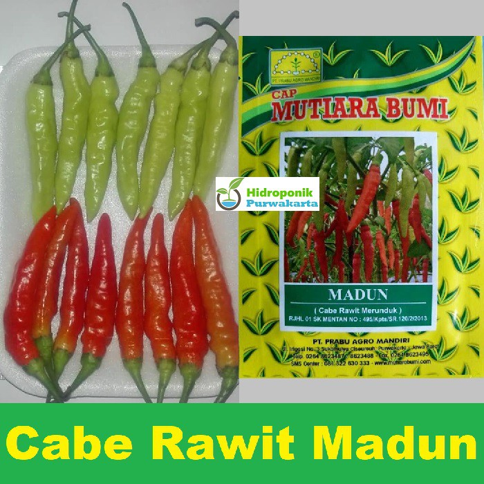 BENIH CABE CABAI RAWIT MADUN ISI 10 GRAM CAP MUTIARA BUMI