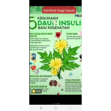 [ bisa COD ] ~ TEH CELUP DAUN INSULIN UNTUK DIABETES MENGURANGI GULA DARAH