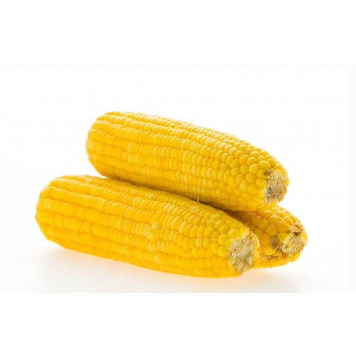 Jagung manis - Premium Sweet Corn Jagung manis kupas FRESH JASUKE SUP JAGUNG Satuan