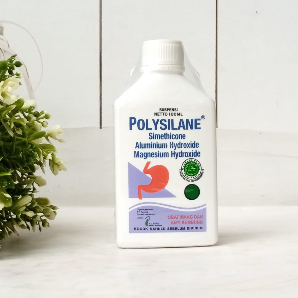 Polysilane Cair Botol 100ml