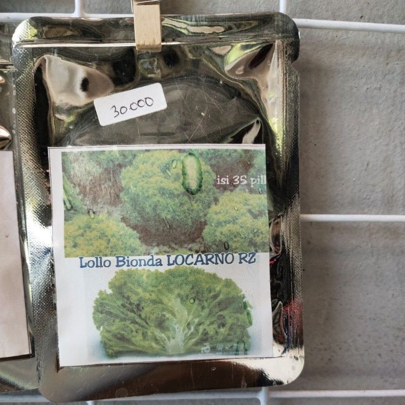 Benih lollo Bionda Locarno RZ isi 35 pills