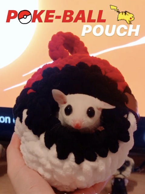 POKE-BALL Pouch Sugar Glider, Sugar Glider Pouch by Jesugarglider