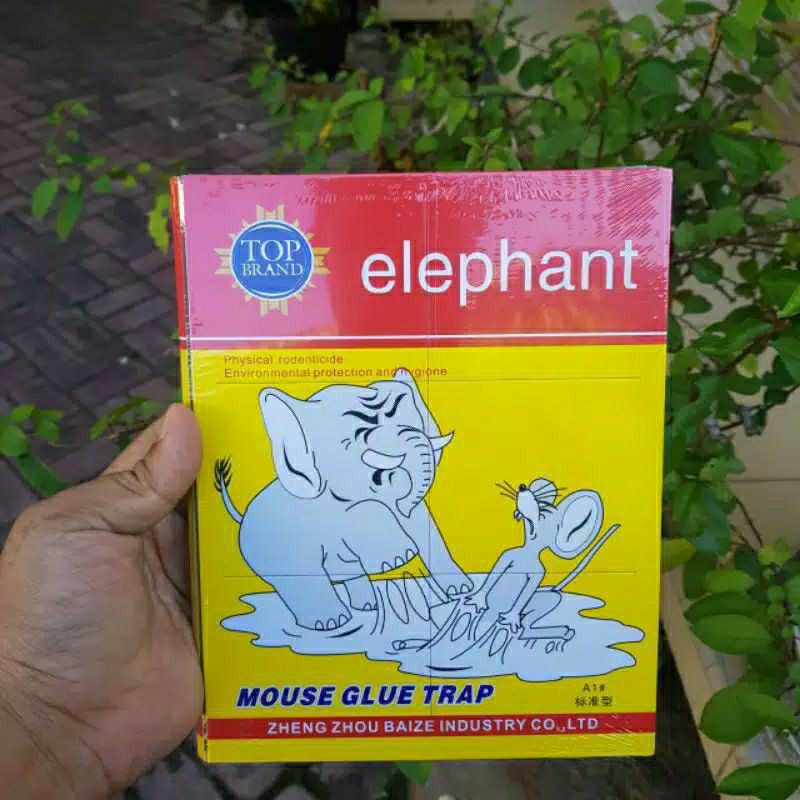 LEM TIKUS PAPAN/PERANGKAP PAPAN GAJAH/ELEPHANT