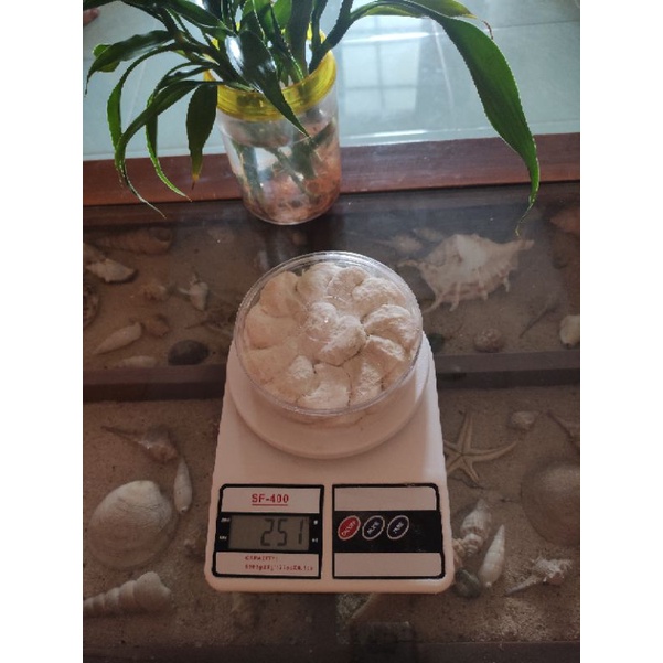 

Putri Salju HomeMade 250gr by Anies
