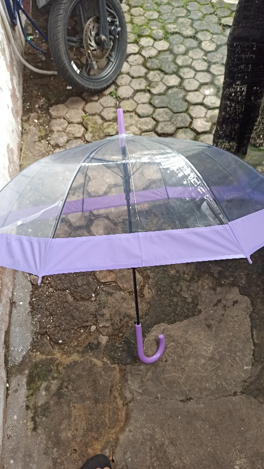 Tabasa Payung Tongkat Transparan Monaco List