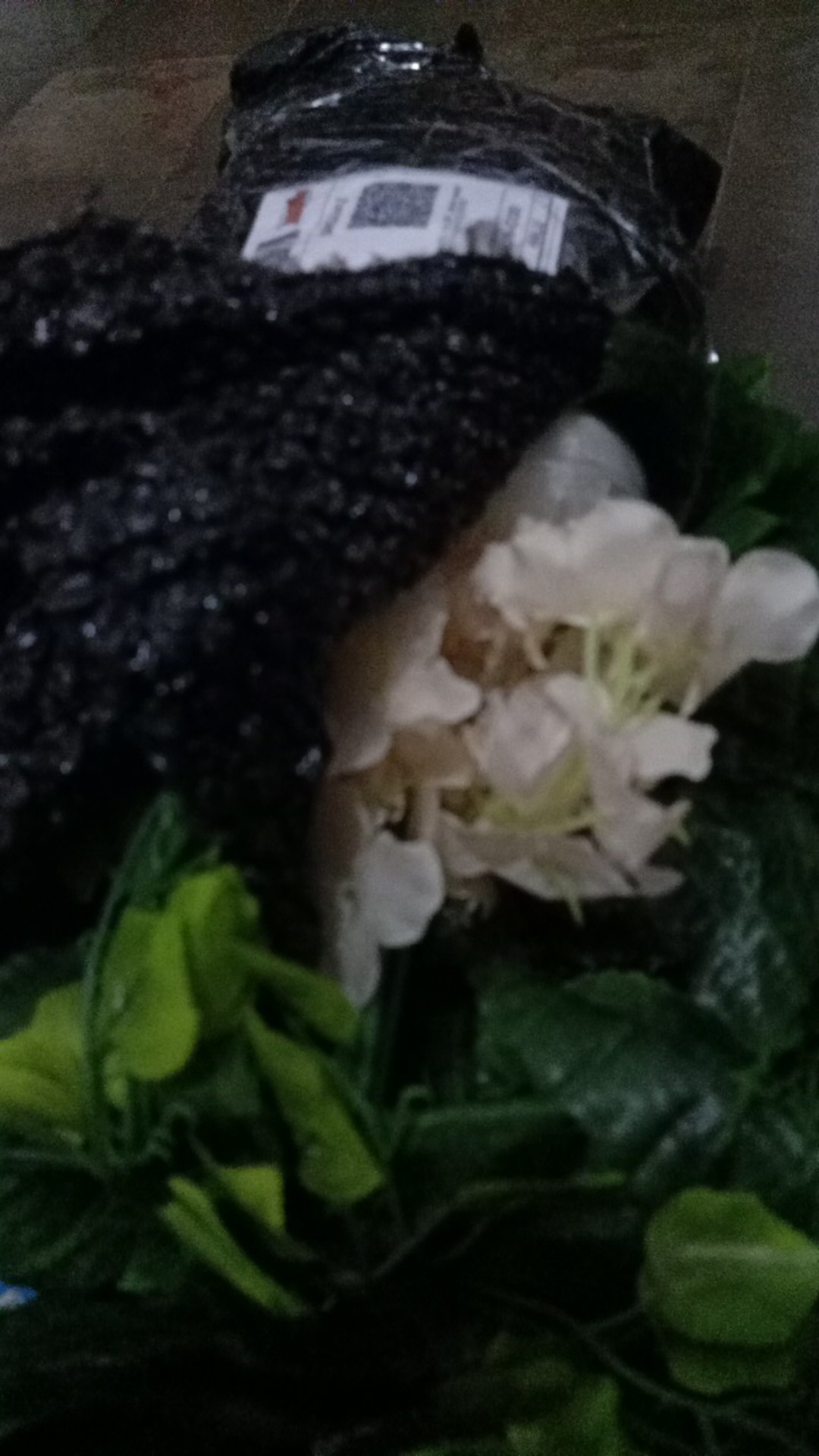 Wanflower Bunga Juntai Wisteria 2m * Champagne Muda