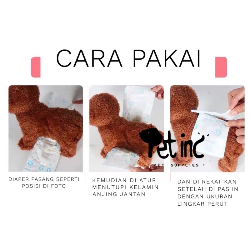 ECER marking diaper/popok anjing jantan random motif