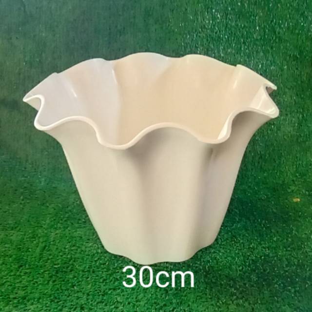 

Primadona 30cm putih