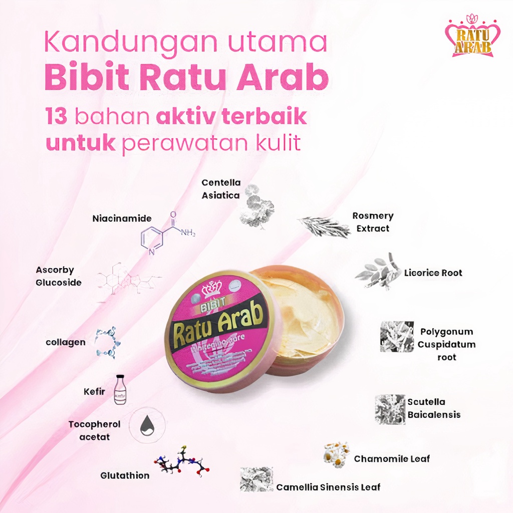 BIBIT RATU ARAB BIBIT COLLAGEN PEMUTIH BADAN KETIAK TANGAN KAKI LENGAN BIBIT COLLAGEN SH COSMETIC (COLLAGEN BPOM)