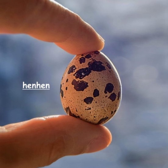 

RB TELUR PUYUH READY STOCK