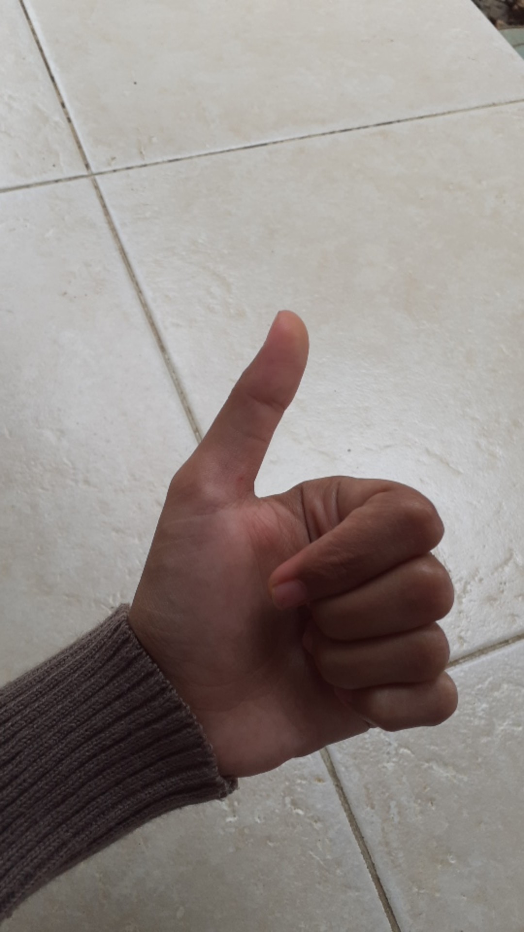 Peksi Yudha Kemeja Batik Pria Lengan Panjang Full Furing Bahan Katun Sragenan