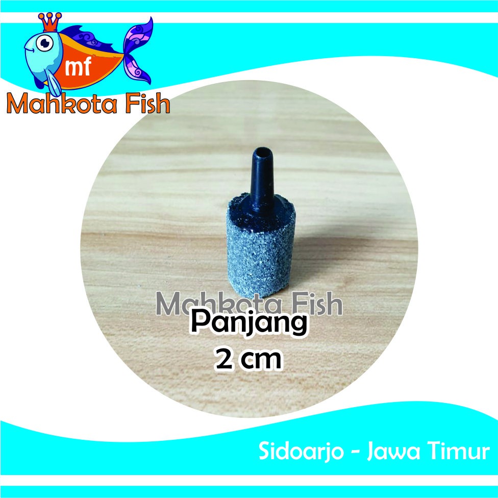 Batu Aerator PANJANG 2 CM | Batu Gelembung | Batu Aerasi | Airstone