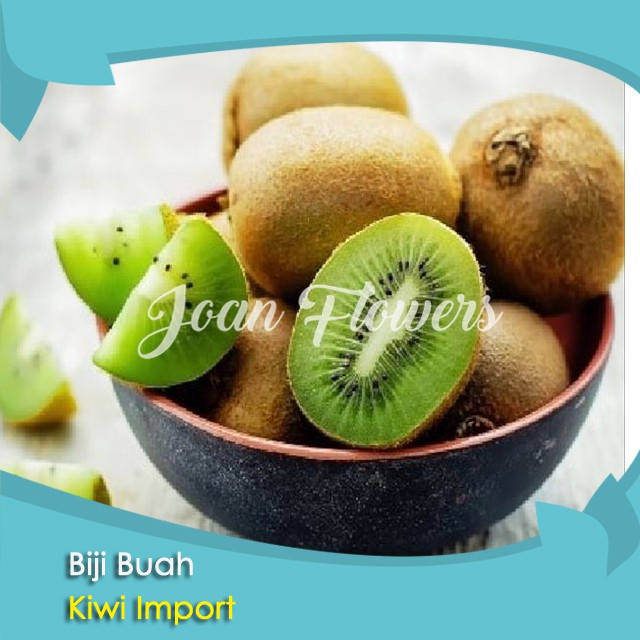 Bibit Tanaman Buah Kiwi Import Benih Bibit Tanaman Hias Untuk Dekorasi Rumah
