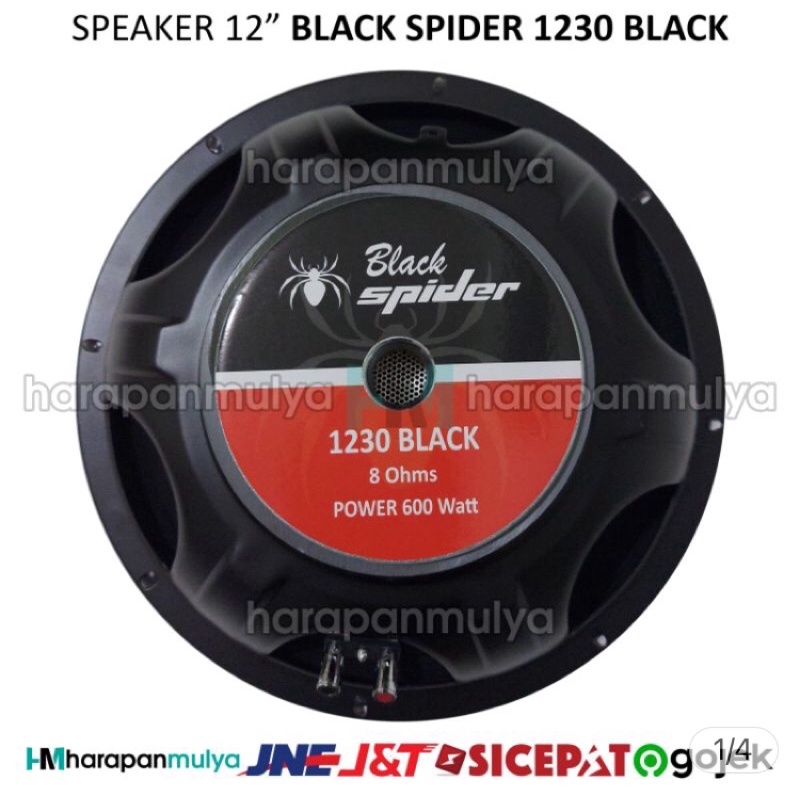 Speaker 12 inch Black Spider 1230 Black