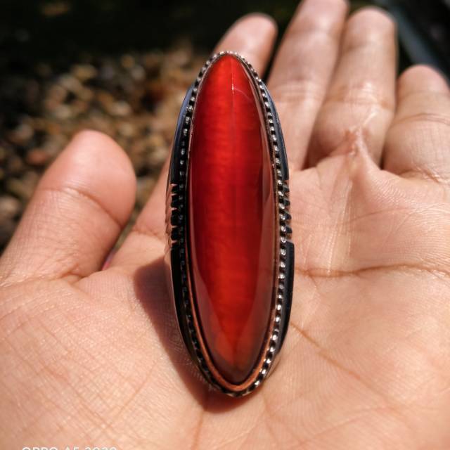 PANDAN MERAH RUDAL SISIK BETOK