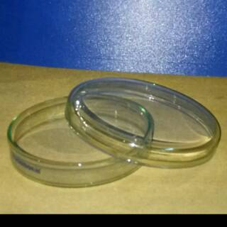 Cawan Petri NORMAX (Petri Dish) | Shopee Indonesia