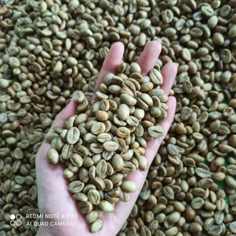 

robusta natural