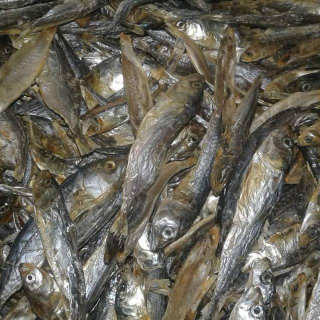 

Ikan layang kering/ikan asin layang