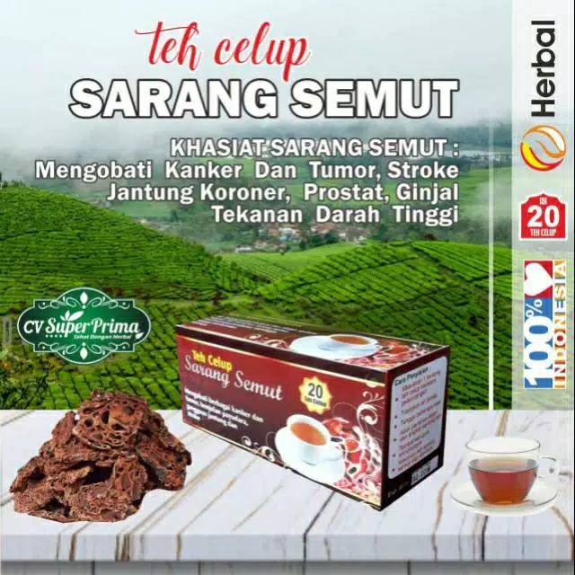 

Teh celup Sarang semut, teh herbal