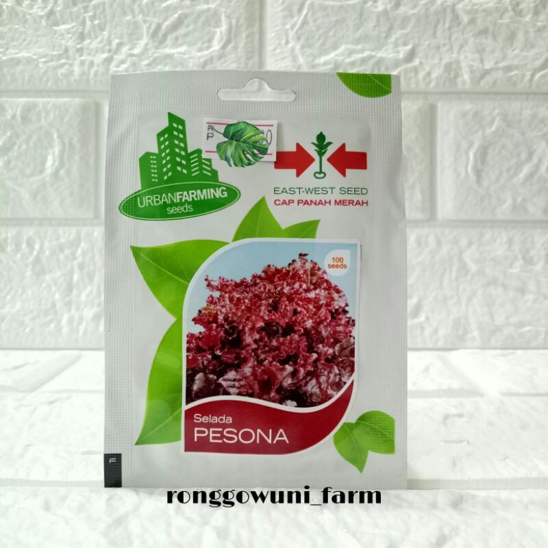 Benih Selada Merah Pesona - Cap Panah Merah - 100butir