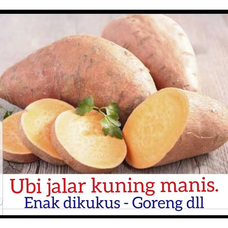 

UBI JALAR KUNING ( SUKA BUMI ) FRESH LANSUNG DARI KEBUN