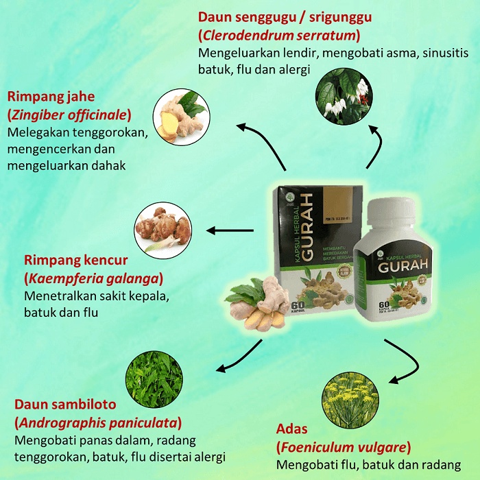 Kapsul Obat Herbal Gurah Mengatasi  Gangguan Pernapasan, Batuk Berdahak , Tidur Mendengkur / Ngorok-1