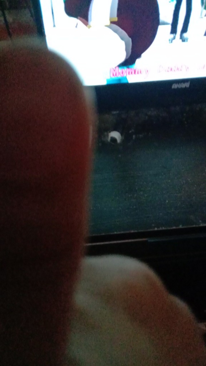 Karet Jepang Dengan Pouch Isi 2000 Pcs