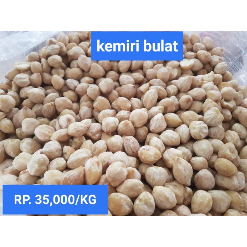 

kemiri bulat